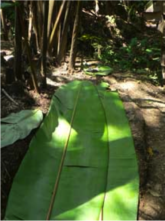 banana-leaf-massage-table